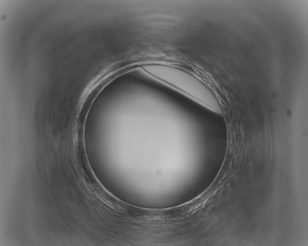 X0000083560344200702090820