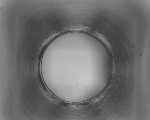 X0000083560346200702090820