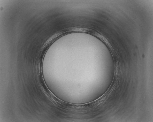 X0000083560349200702090820