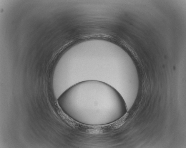 X0000083560356200702090821