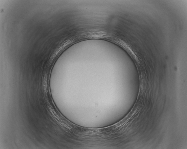 X0000083560386200702090820