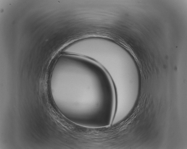 X0000083560387200702090820
