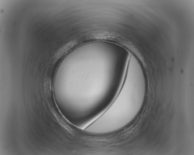 X0000083560397200702090820
