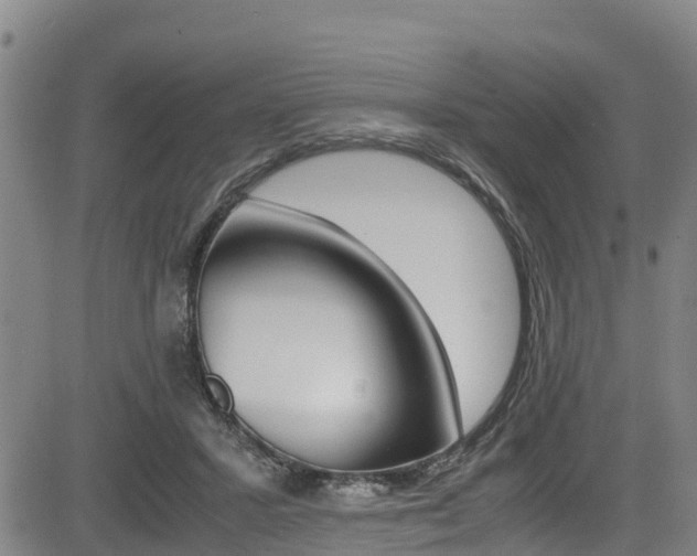 X0000083560407200702090820