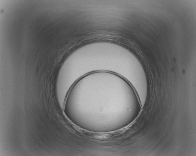 X0000083560411200702090820