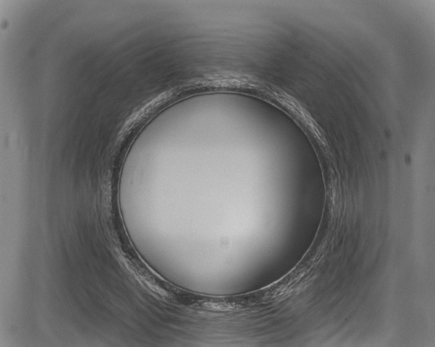 X0000083560442200702090819