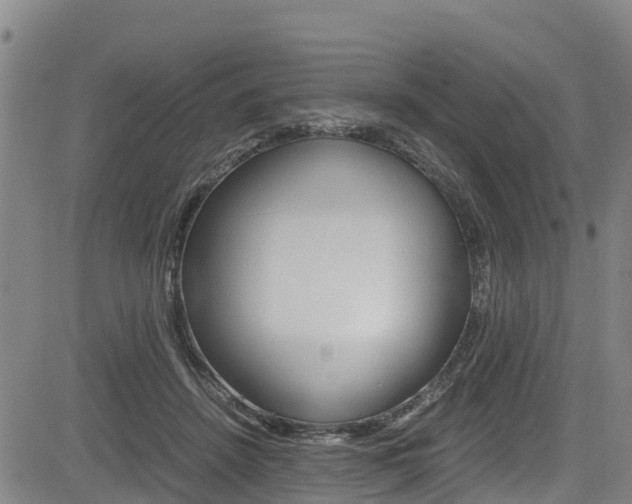 X0000083560456200702090819