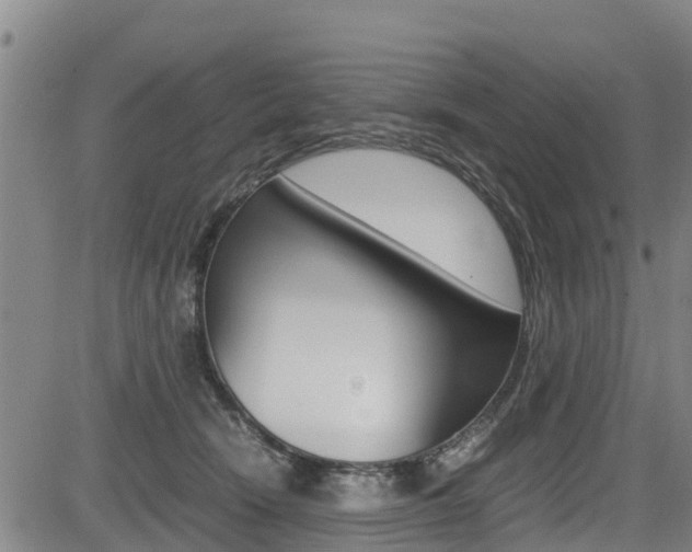 X0000083560466200702090819