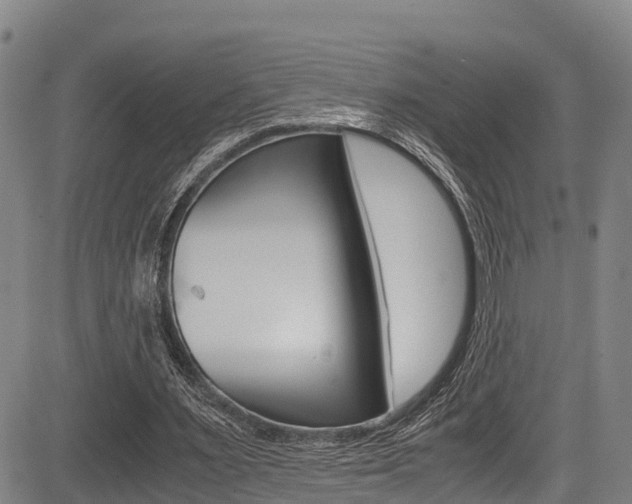 X0000083560483200702090819