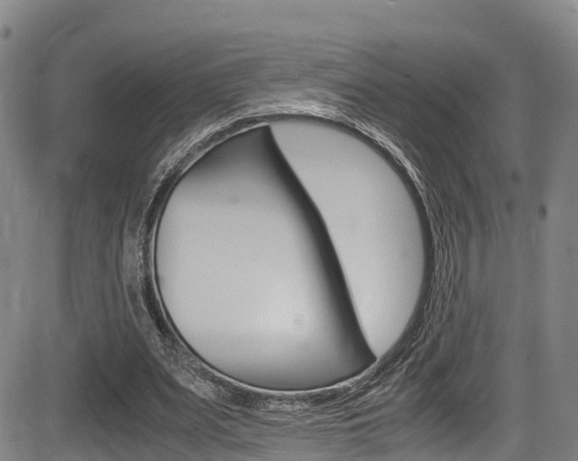 X0000083560487200702090819