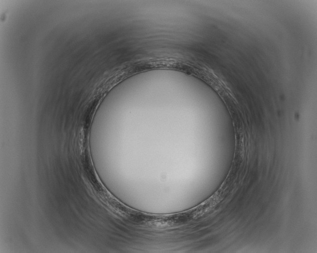 X0000083560498200702090818