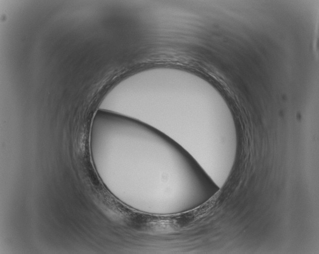 X0000083560499200702090818