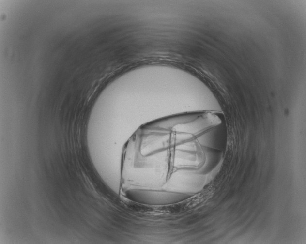 X0000083560504200702090818