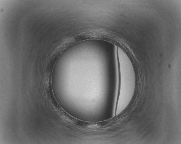 X0000083560505200702090818