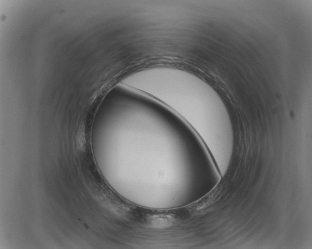X0000083560508200702090818