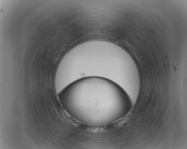 X0000083560512200702090818