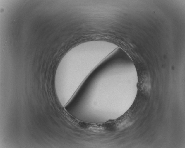 X0000083560515200702090818