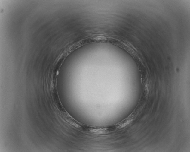 X0000083560516200702090818
