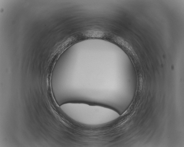 X0000083560541200702090817