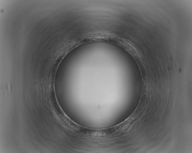 X0000083560546200702090817