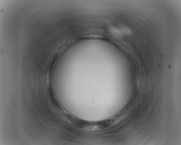 X0000083560551200702090817