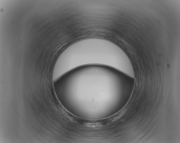 X0000083560556200702090818