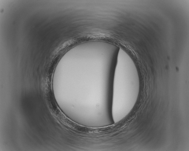 X0000083560591200702090817