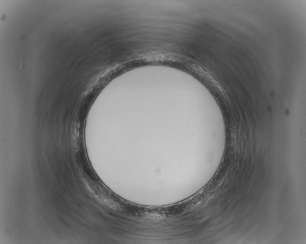 X0000083560592200702090817