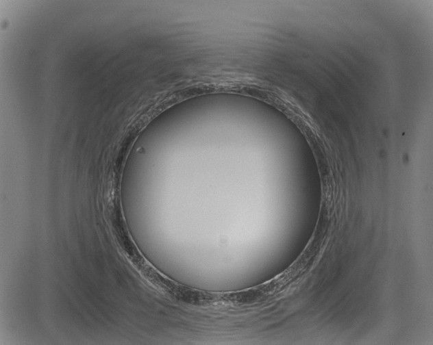 X0000083560593200702090817