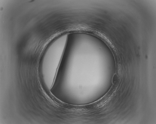 X0000083560629200702090816