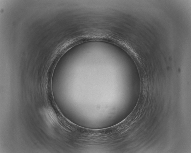 X0000083560631200702090816
