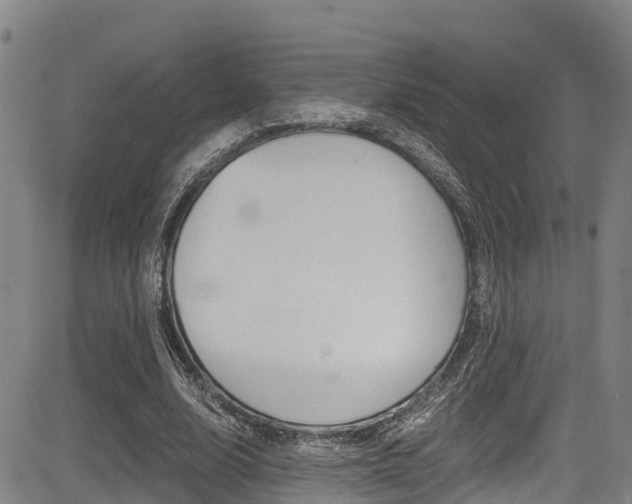 X0000083560632200702090816