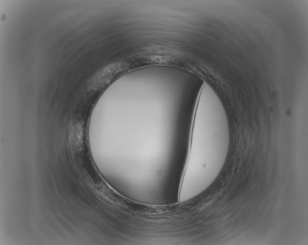 X0000083560646200702090816