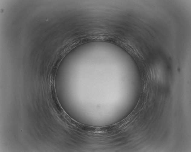 X0000083560647200702090816