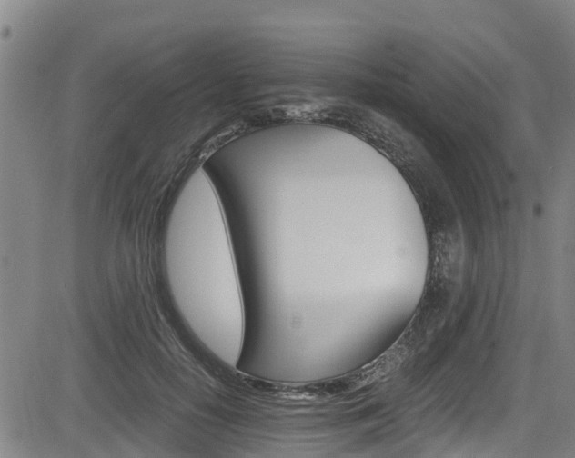 X0000083560650200702090816
