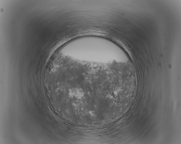 X0000083560675200702090815