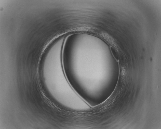 X0000083560676200702090815