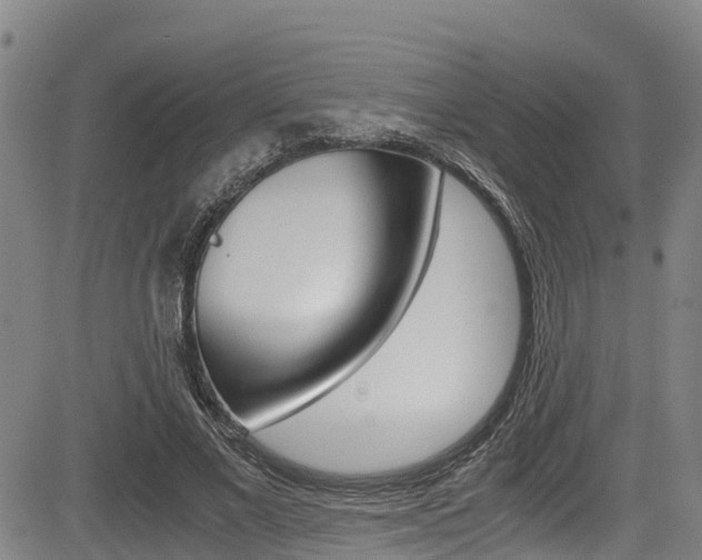 X0000083560685200702090815
