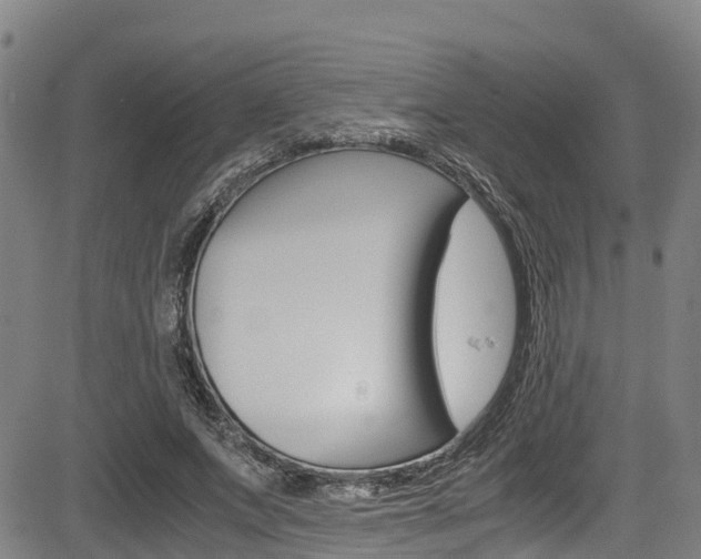 X0000083560687200702090815