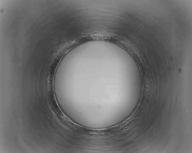 X0000083560690200702090815