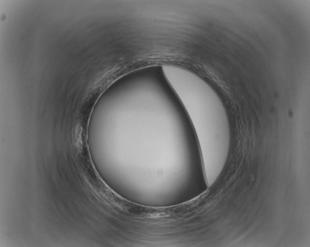 X0000083560692200702090815