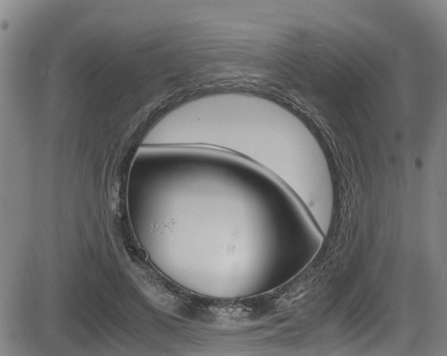 X0000083560693200702090815