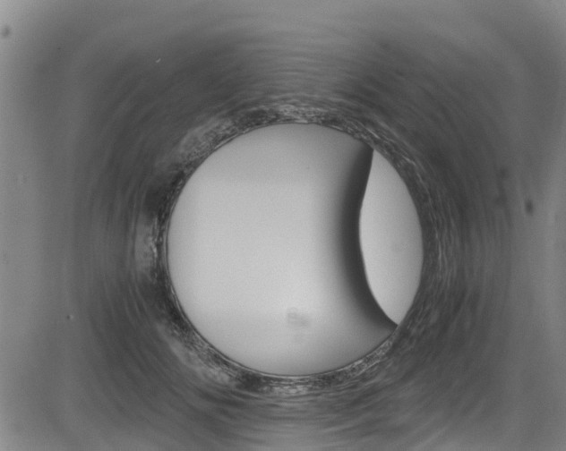 X0000083560702200702090815