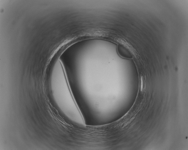 X0000083560723200702090814