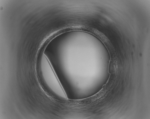 X0000083560728200702090814