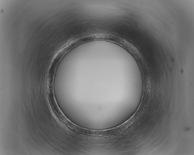 X0000083560730200702090814