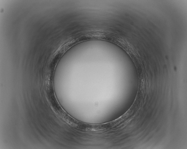 X0000083560739200702090814