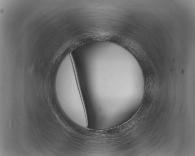 X0000083560742200702090814