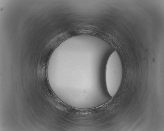X0000083560745200702090814