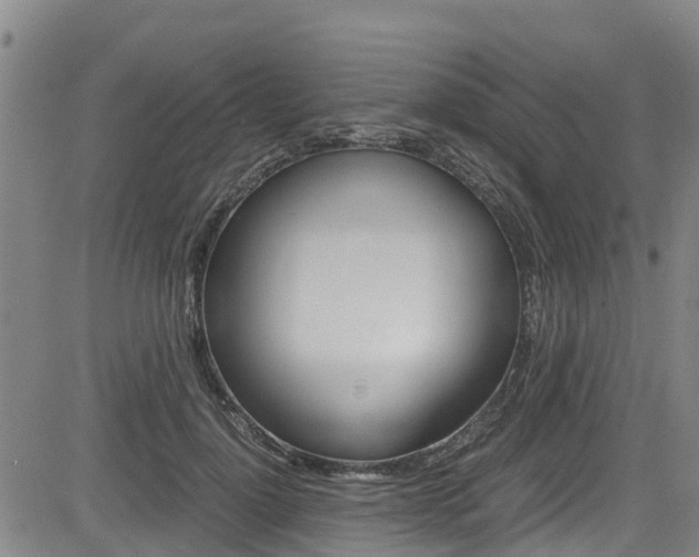 X0000083560748200702090814